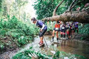 BIB: 
                            <button type="button" onclick="openModal(25516906)" class="btn btn-primary btn-sm float-right btn-popup" data-toggle="modal" data-target=".modal-high-quality">
                        <i class="fas fa-shopping-cart"></i> Add to Cart
                    </button>
                                            <button type="button" onclick="isThisMe(25516906, true)" class="btn btn-success btn-sm float-right btn-popup btn-isme hidden" data-toggle="tooltip" data-placement="bottom" title="นี่คือรูปของคุณใช่ไหม คลิกที่นี่เพื่อเอาเข้าอัลบั้ม">
                        <i class="fas fa-plus"></i> Add to album
                    </button>
                    <button type="button" onclick="isThisMe(25516906, false)" class="btn btn-warning btn-sm float-right btn-popup btn-isnotme hidden">
                        <i class="fas fa-ban"></i> Remove from album
                    </button>